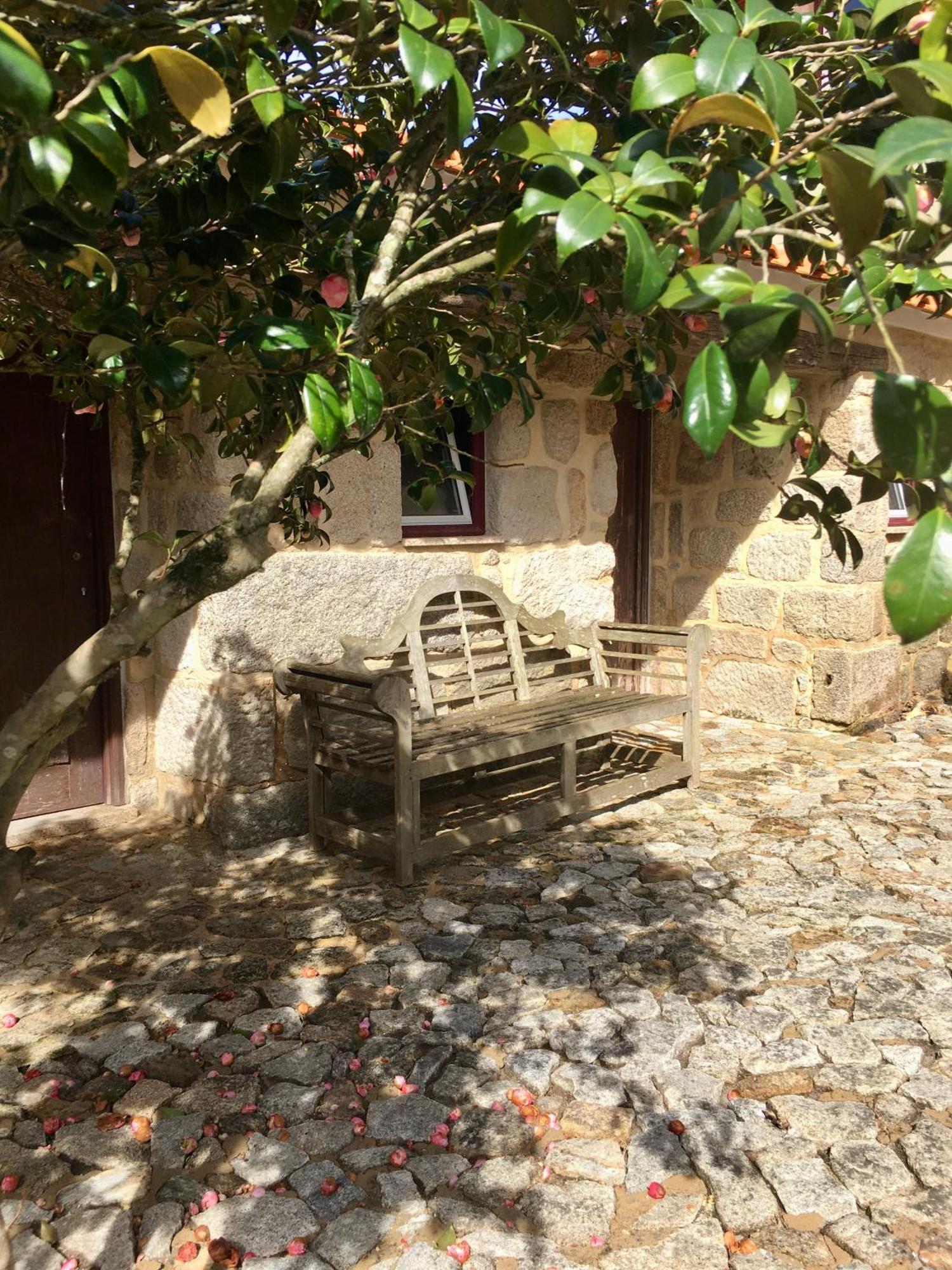 Quinta De Mocamedes - Turismo De Habitacao Hotel Vouzela Exterior photo